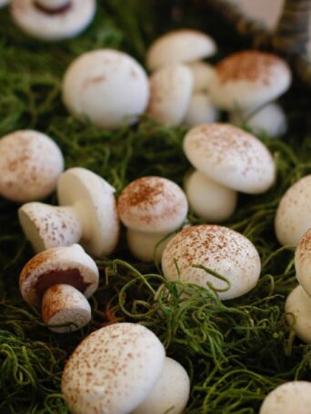 Vegan Meringue Mushroom Cookies served in a basket