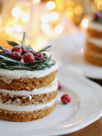 Vegan Holiday Cake served on a white plate
