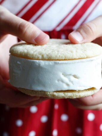 Vegan Ice Cream Sandwich