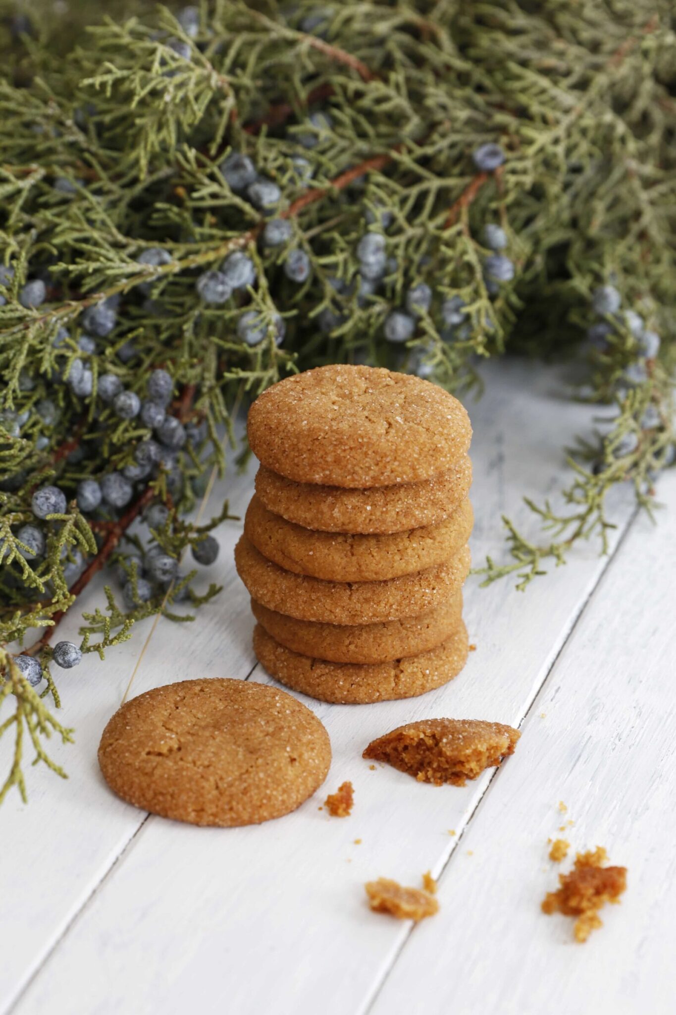 Vegan Gingersnap Cookies – Vegan Cookie Recipe | Chef Ani