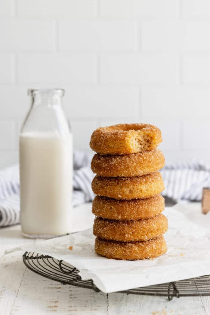 Cinnamon Sugar Baked Donut