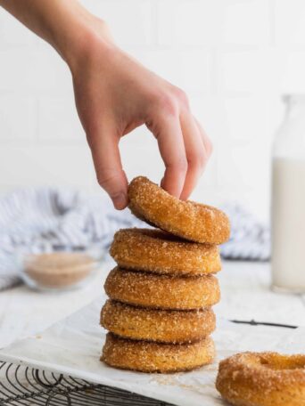 Cinnamon Sugar Baked Donuts