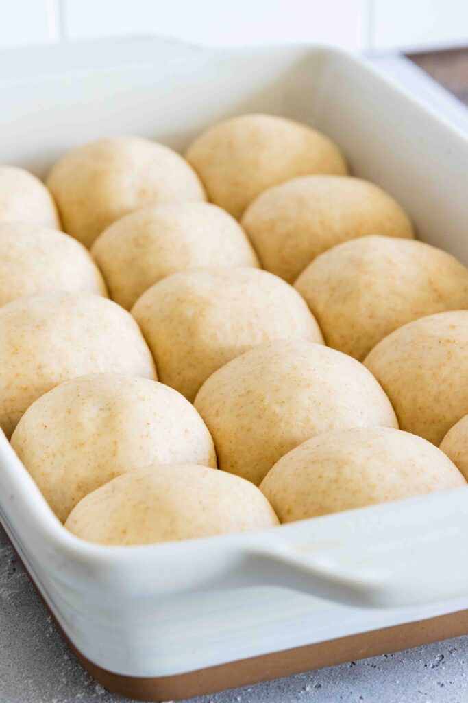 Dinner rolls after second rise