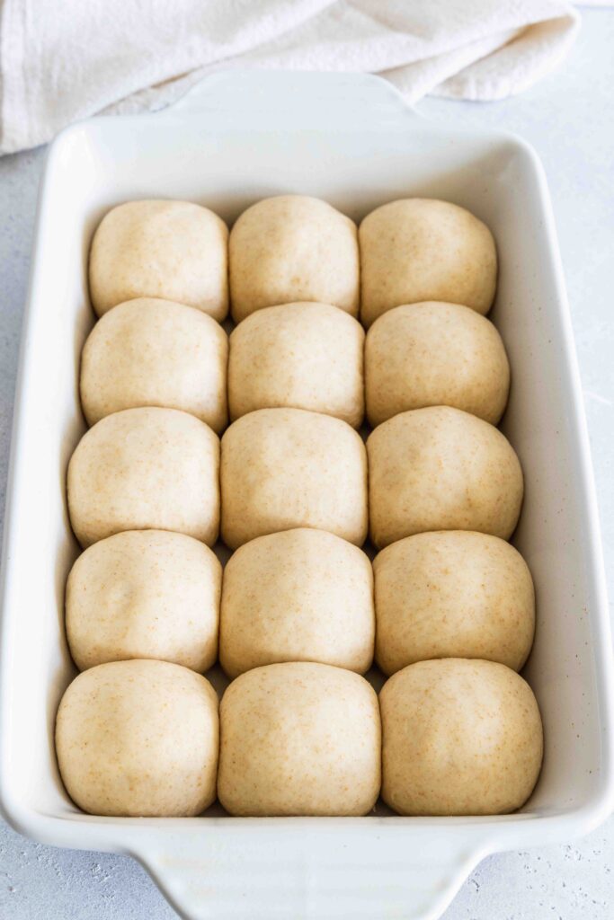 Vegan dinner rolls before baking