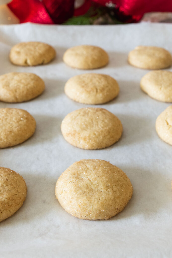 Freshly baked vegan snickerdoodle cookies