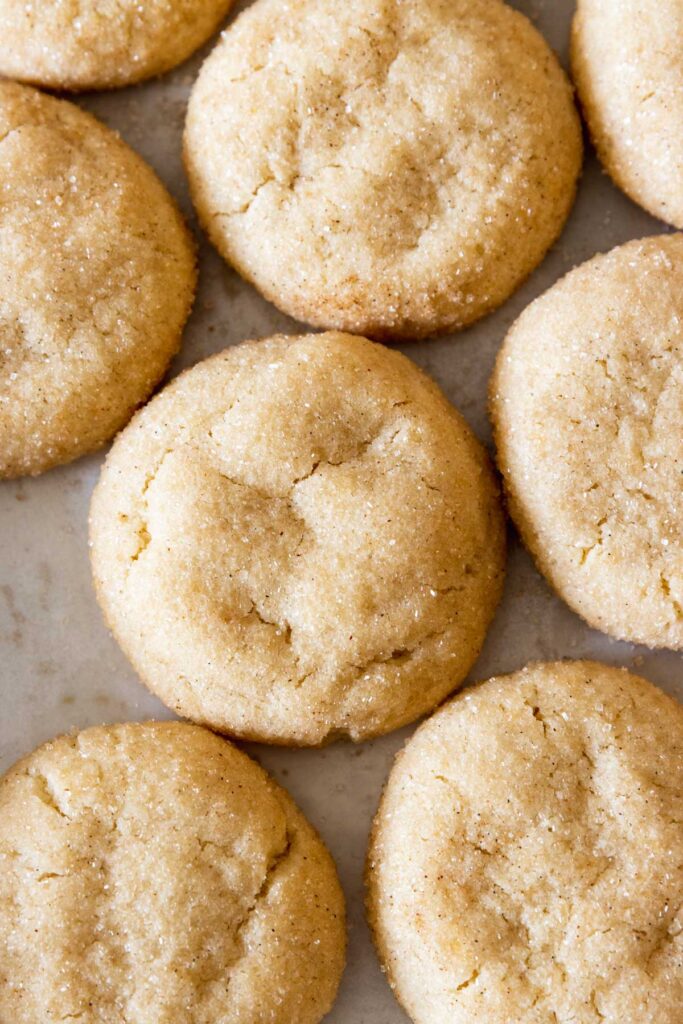 Vegan snickerdoodles cookies fresh from the oven