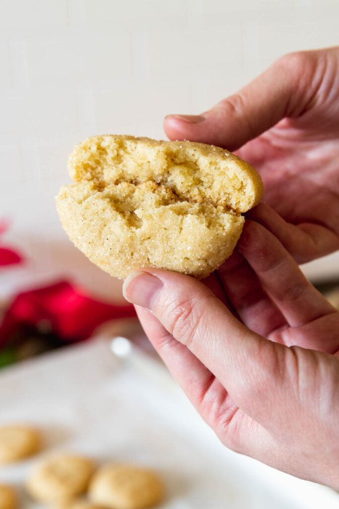 Interior texture of dairy-free snickerdoodle cookie
